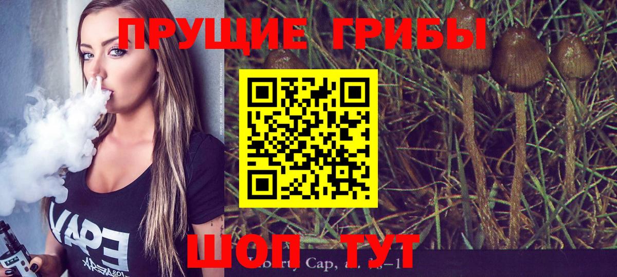 Псилоцибиновые грибы ЛСД Кыштым